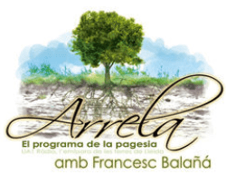 Arrela UA1 Lleida